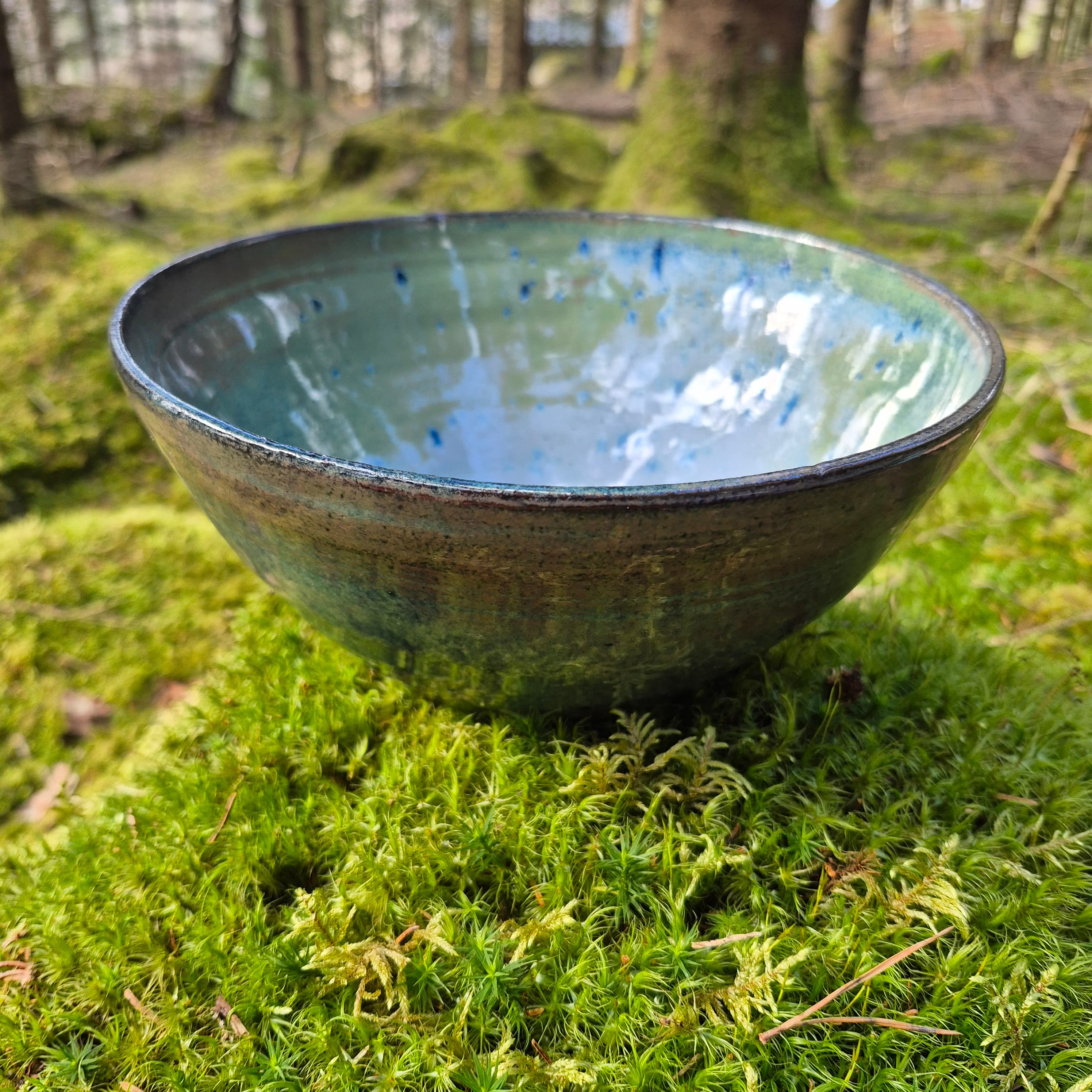 Gallery image 12